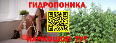 эйфоретик Владимир