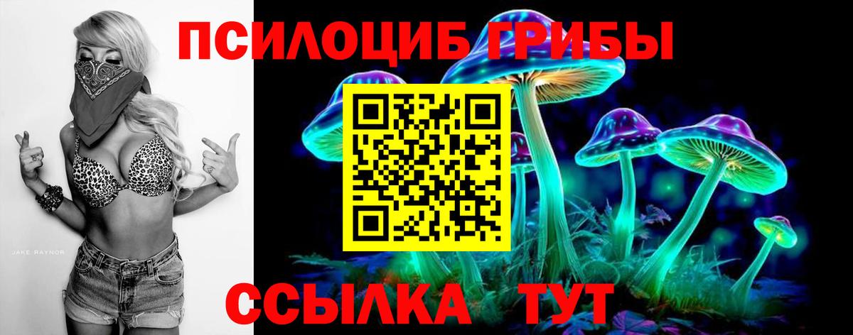 Галлюциногенные грибы прущие грибы Ногинск
