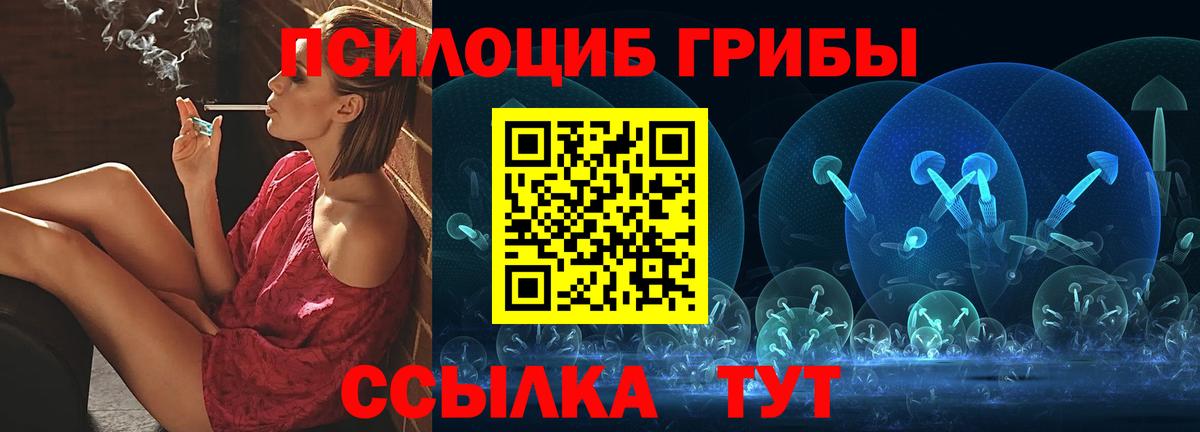 закладки  Вход с VPN  Псилоцибиновые грибы ЛСД  Ногинск  Псилоцибиновые грибы прущие грибы 